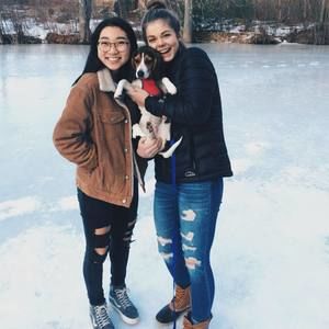 Meet your Posher, Iris